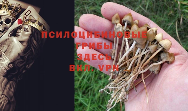 стаф Покачи