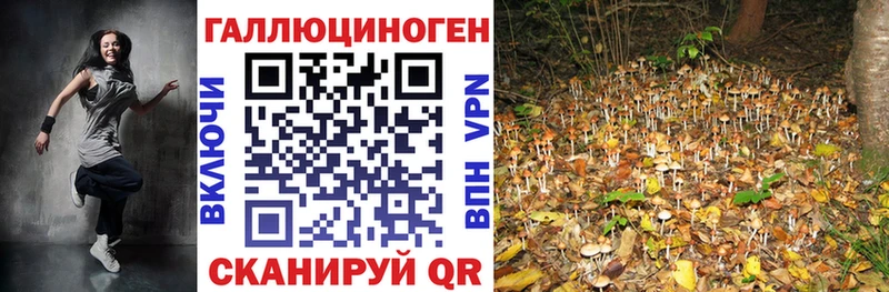 Псилоцибиновые грибы Psilocybe  магазин    Лесной 